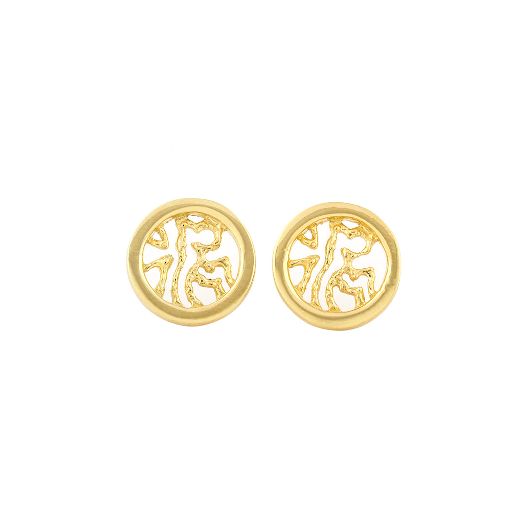 Boucles d’Oreilles Cercle Diploria